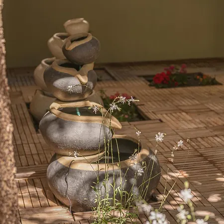 Eva's 公寓 干尼亞